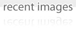 recent images